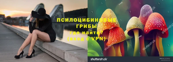 спиды Арсеньев